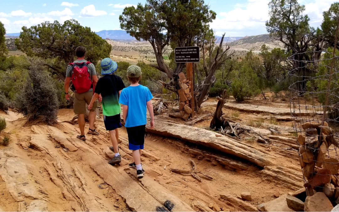 Dinosaur Trackway Trail